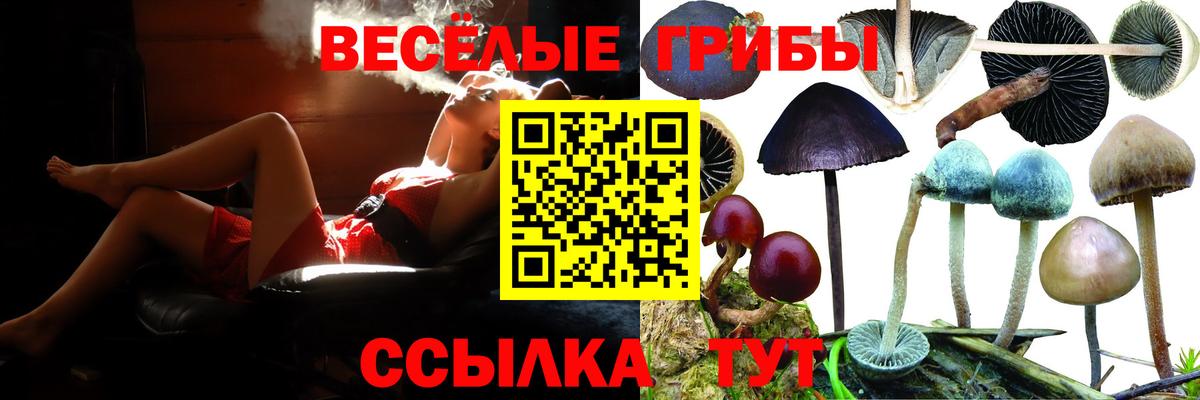 цены   Вход с VPN  Ачинск  Псилоцибиновые грибы мицелий 